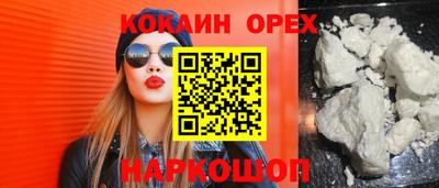 индика Кандалакша