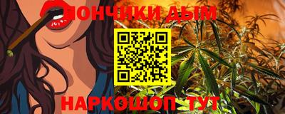индика Кандалакша