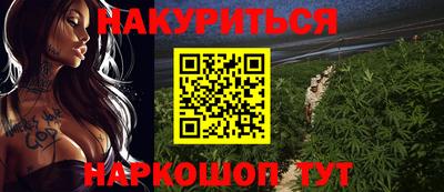спиды Камышлов