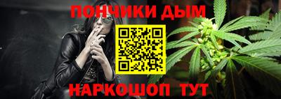 индика Кандалакша