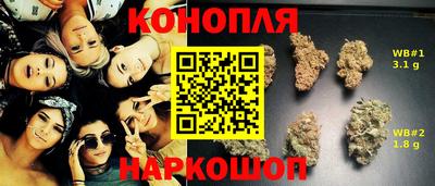 спиды Камышлов