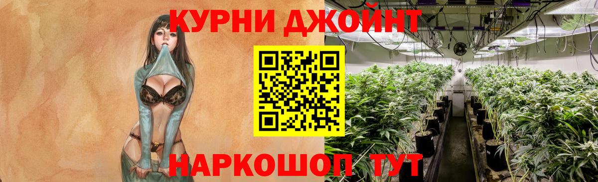Бошки марихуана гибрид Кудымкар